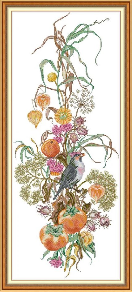 ٻҾ5 ͧԹ : Flower season (/)