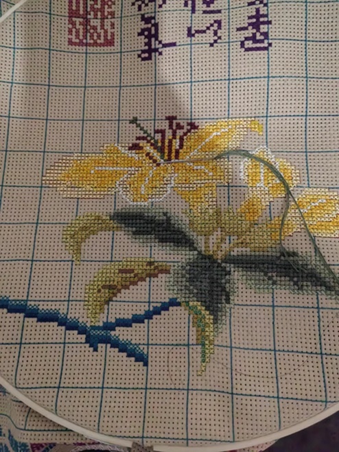 ٻҾ5 ͧԹ : Ancient flower ()