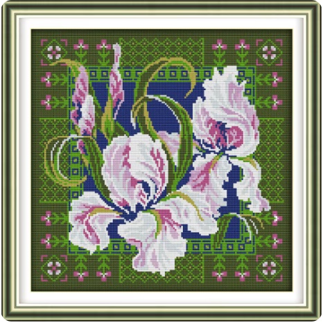 ٻҾ5 ͧԹ : Orchid (/)