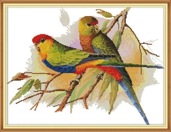 ٻҾ5 ͧԹ : Parrot, macow (/)