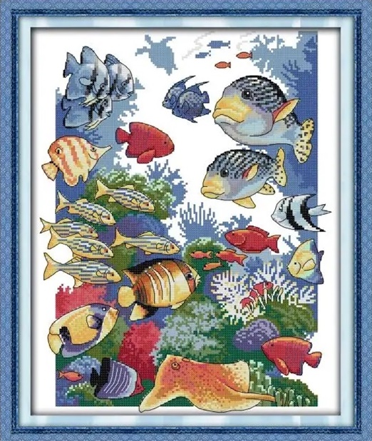 ٻҾ5 ͧԹ : Tropical fish (/)