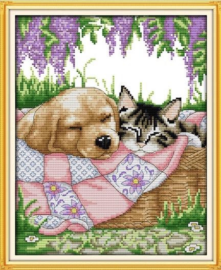 ٻҾ5 ͧԹ : Sleeping cat and dog (/)