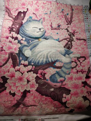 ٻҾ5 ͧԹ : Blossom cat ()
