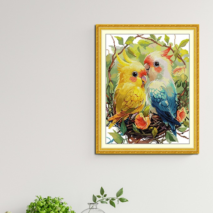 ٻҾ5 ͧԹ : Beautiful parrot (/)