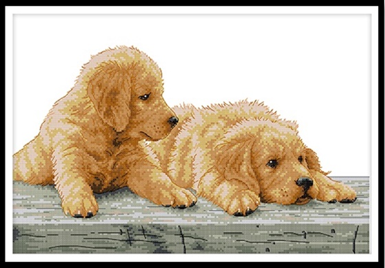 ٻҾ5 ͧԹ : Brothers dog (/)