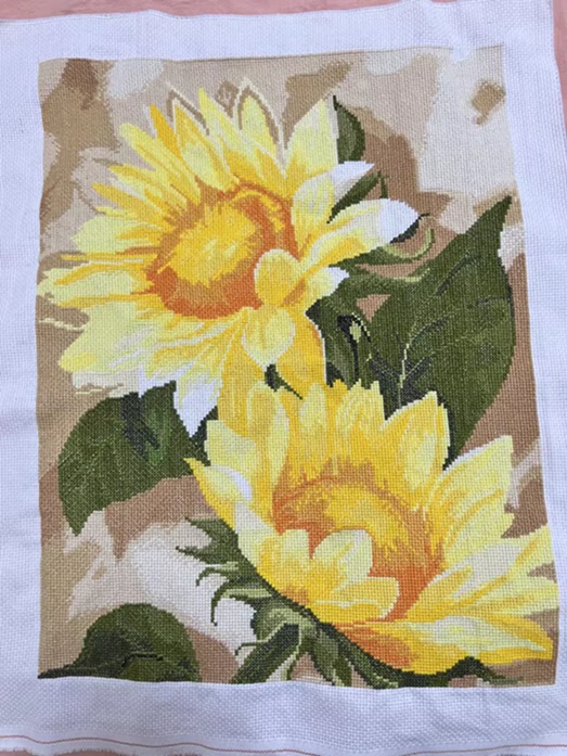 ٻҾ5 ͧԹ : Sunflower ()