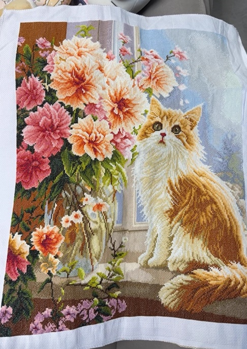 ٻҾ5 ͧԹ : Afternoon cat ()