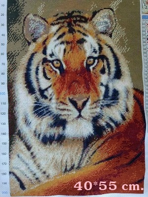 ٻҾ5 ͧԹ : King of forest, Tiger ()