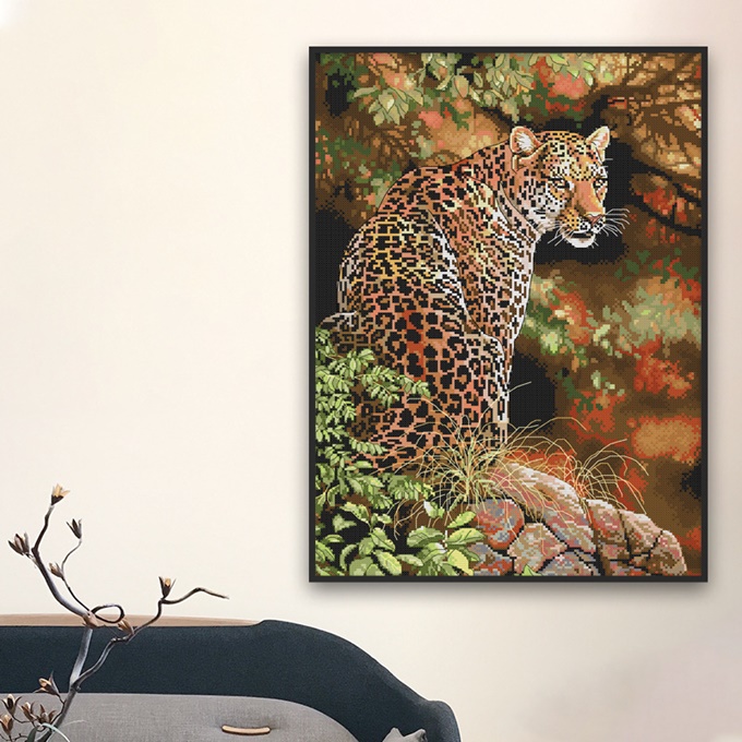 �ٻ�Ҿ���5 �ͧ�Թ��� : Leopard (�������/��������)