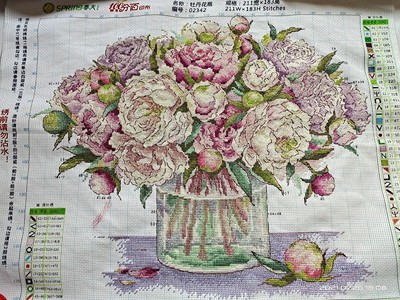 ٻҾ6 ͧԹ : Peony vase ()