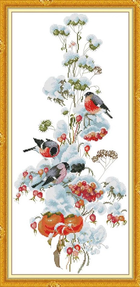 ٻҾ6 ͧԹ : Flower season (/)