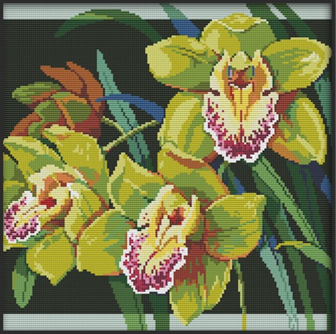 ٻҾ6 ͧԹ : Orchid (/)