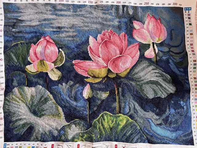 ٻҾ6 ͧԹ : ͡ lotus ()