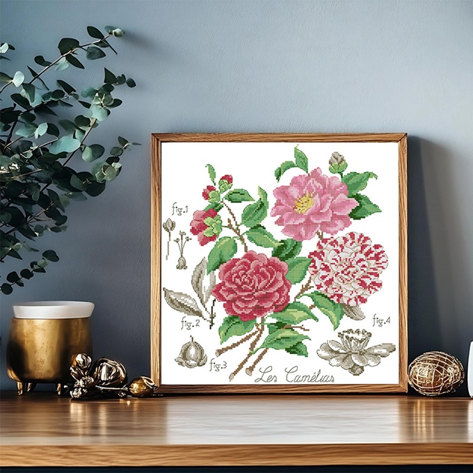 ٻҾ6 ͧԹ : Flower series (/)