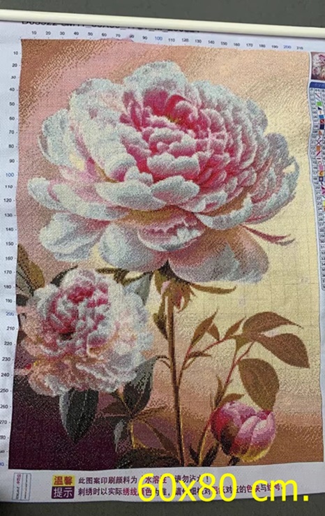 ٻҾ6 ͧԹ : Camellia and peony ()