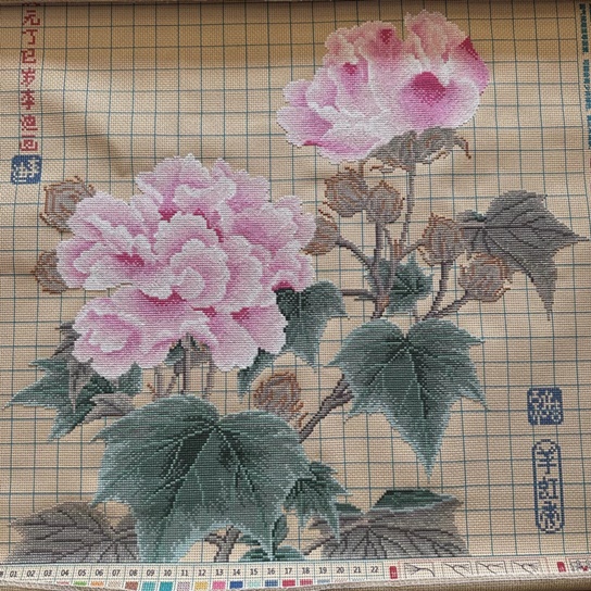 ٻҾ6 ͧԹ : Ancient flower ()