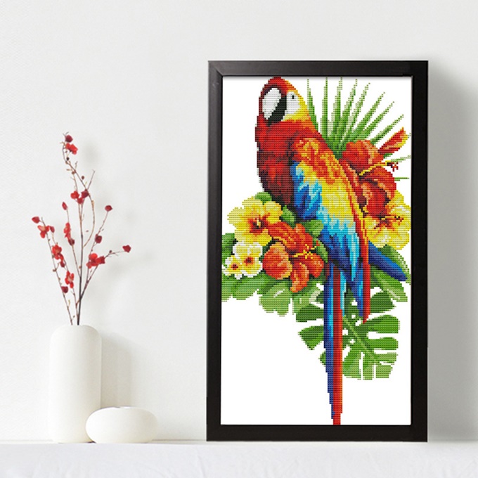 ٻҾ6 ͧԹ : Beautiful parrot (/)