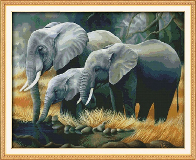 ٻҾ6 ͧԹ : ҧ  Elephant (/)