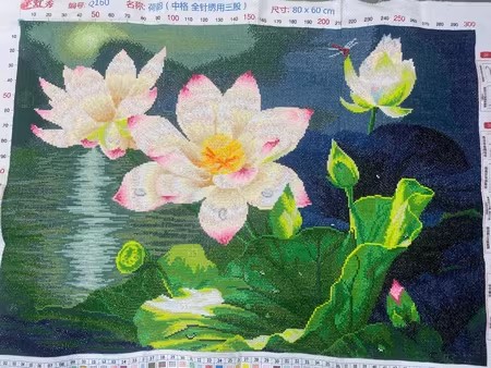 ٻҾ6 ͧԹ : Lotus pond ()