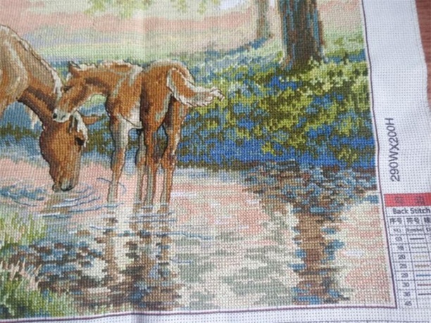 ٻҾ6 ͧԹ :  Horse family  (/)