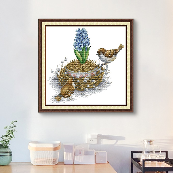 ٻҾ6 ͧԹ : Hyacinth (/)