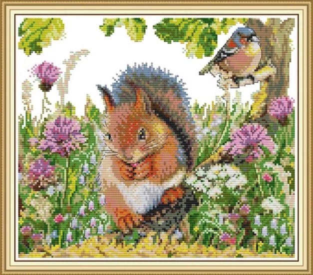 ٻҾ6 ͧԹ : Squirrel (/)