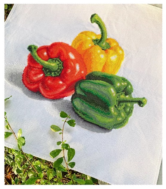 �ٻ�Ҿ���6 �ͧ�Թ��� : Fruit (��������)